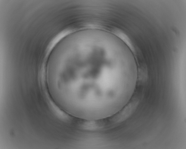 X0000115591098200911101233