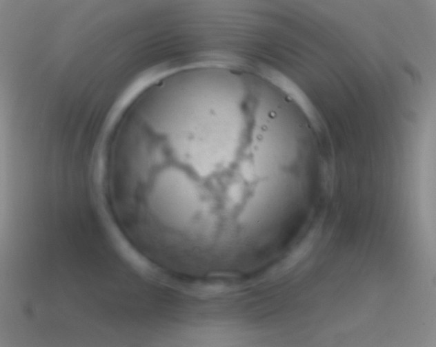 X0000115591099200911101233