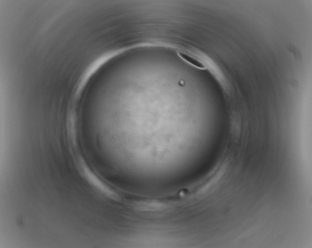 X0000115591100200911101233