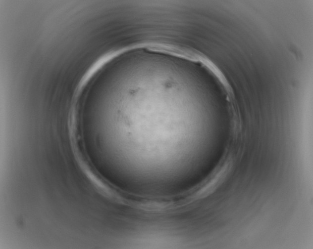 X0000115591101200911101233