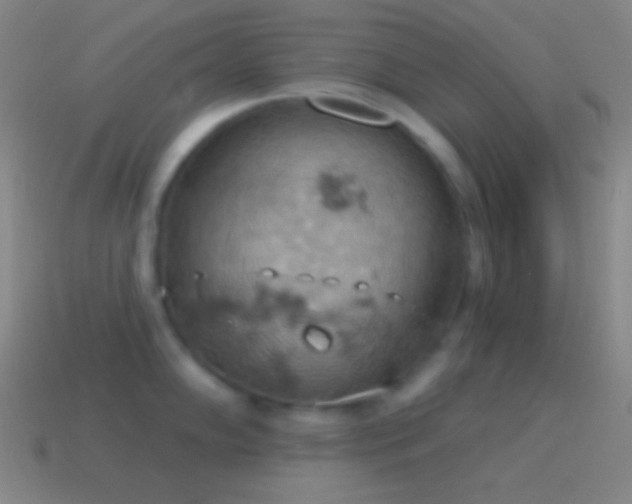 X0000115591102200911101233