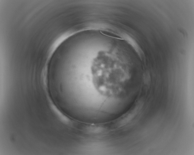 X0000115591103200911101233