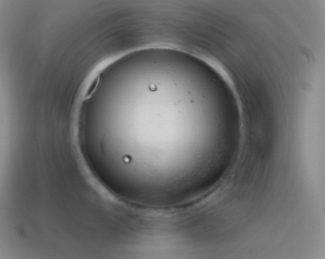 X0000115591104200911101233