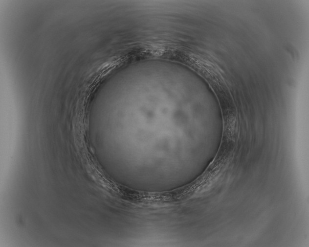 X0000115591105200911101233