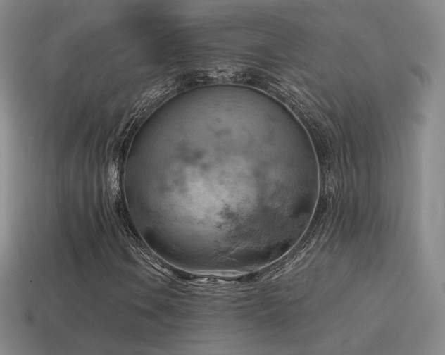 X0000115591106200911101233