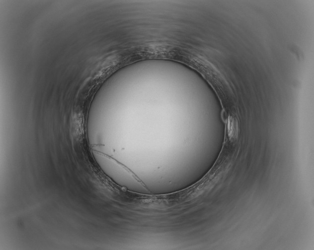 X0000115591107200911101233