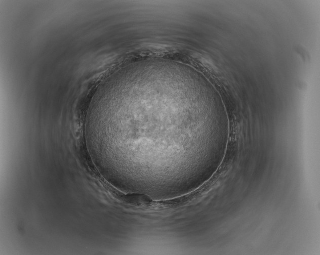 X0000115591109200911101233