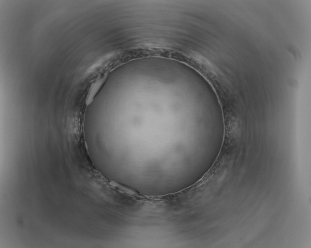 X0000115591110200911101233