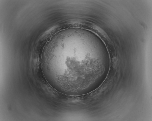 X0000115591111200911101233