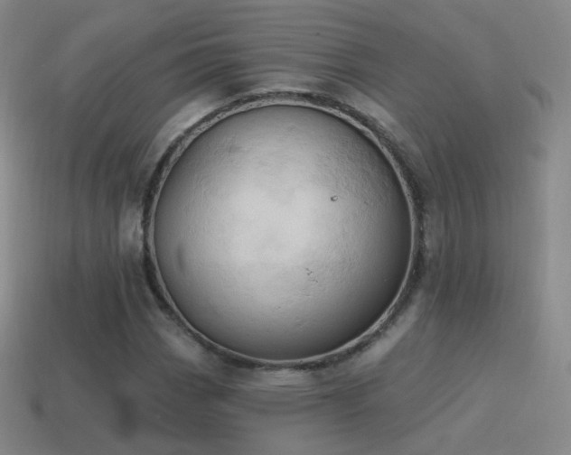 X0000115591113200911101233