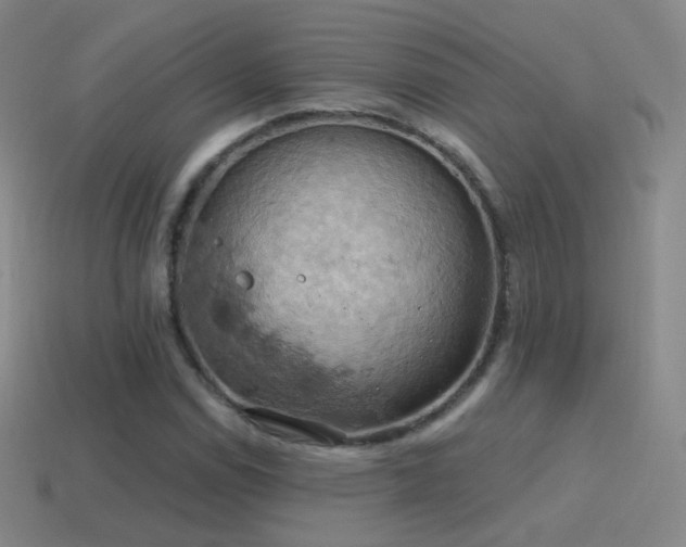 X0000115591114200911101233