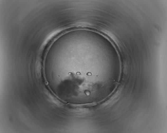 X0000115591115200911101233