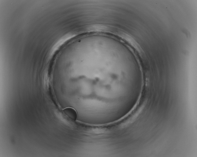 X0000115591117200911101233