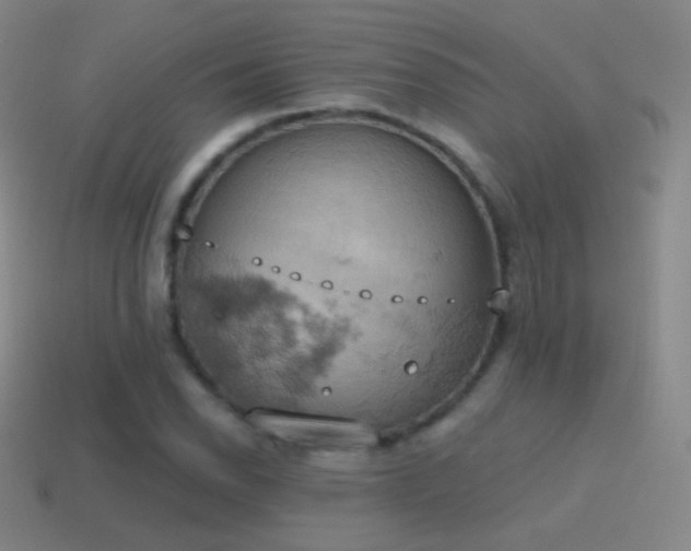 X0000115591118200911101233