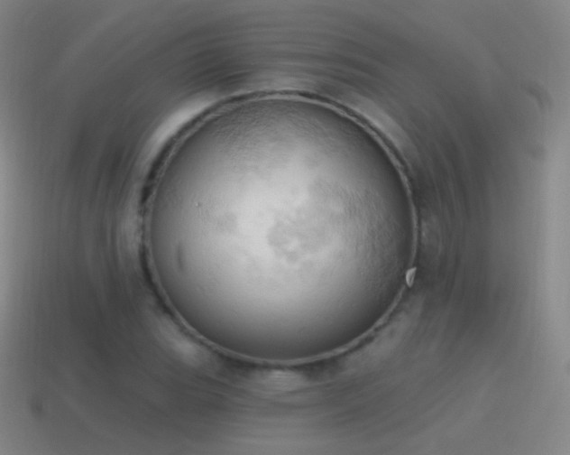 X0000115591119200911101233