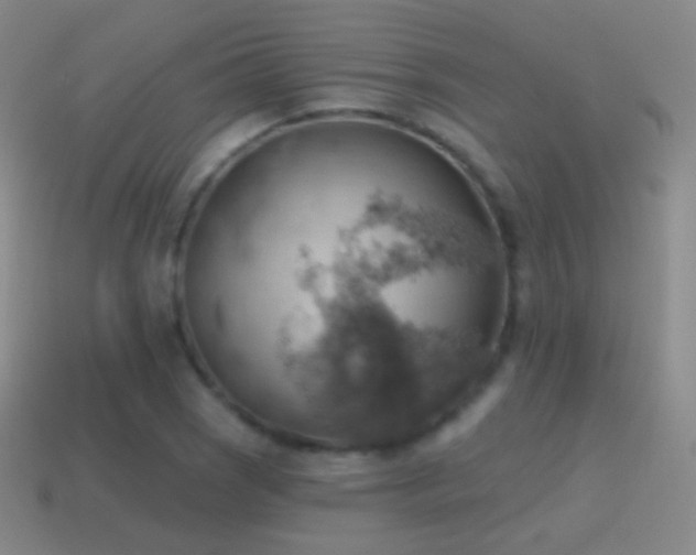 X0000115591121200911101233