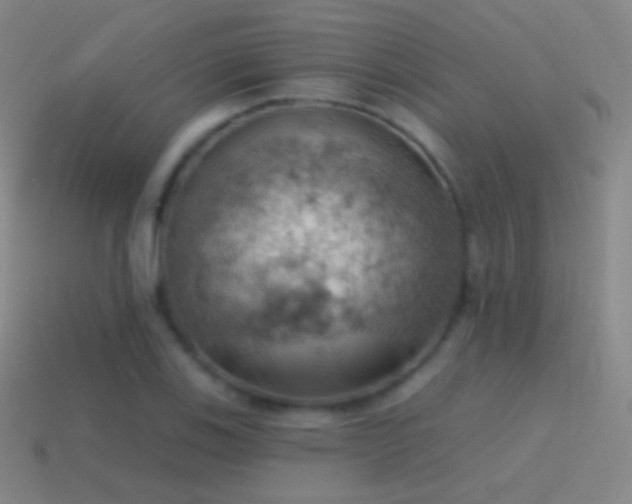 X0000115591123200911101233