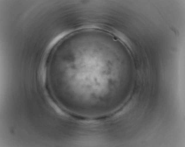 X0000115591127200911101233