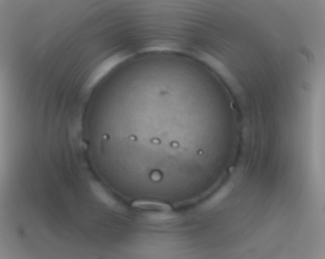 X0000115591129200911101233