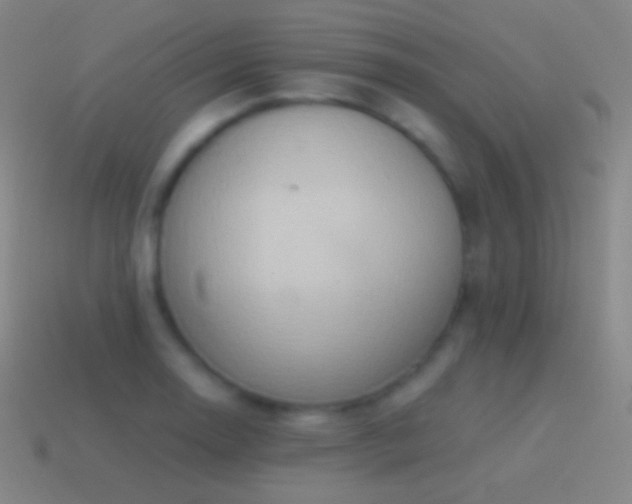 X0000115591130200911101233