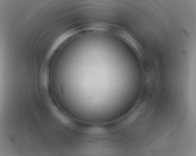 X0000115591131200911101233