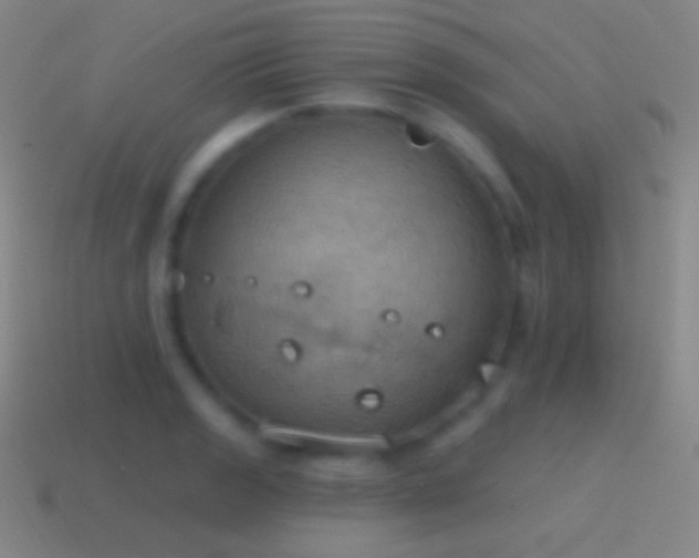 X0000115591133200911101233