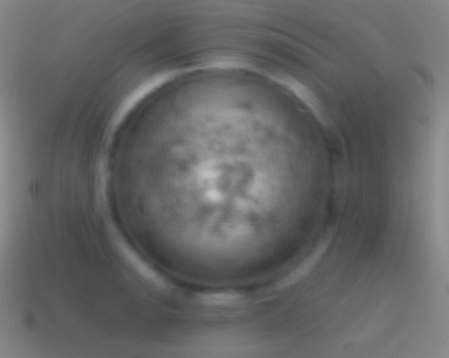 X0000115591134200911101233