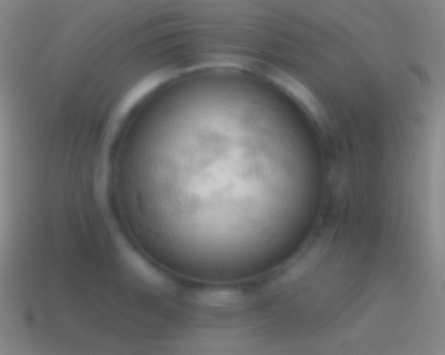 X0000115591135200911101233