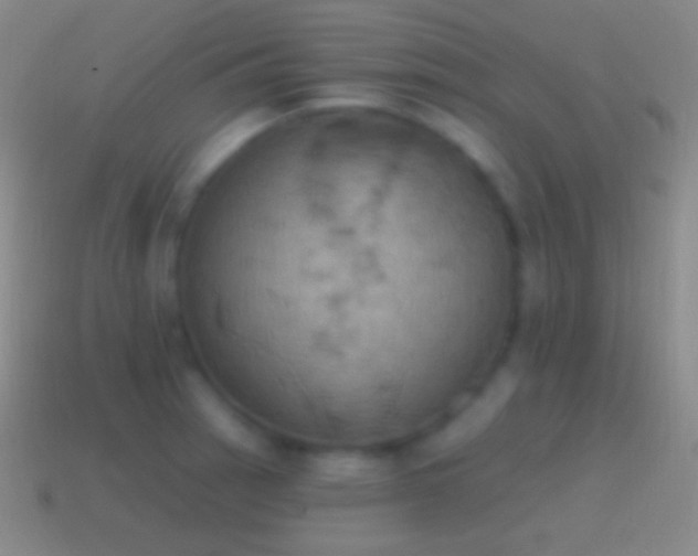 X0000115591137200911101233