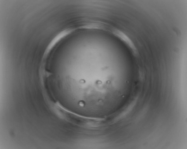 X0000115591138200911101233