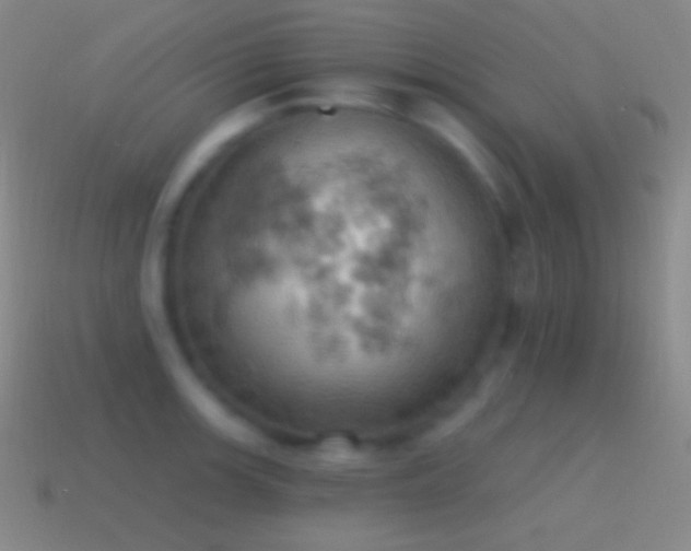 X0000115591139200911101233