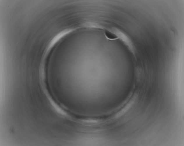 X0000115591141200911101233