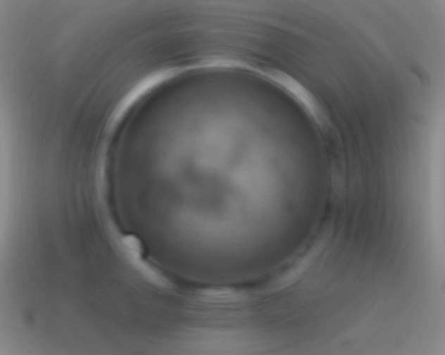 X0000115591142200911101233