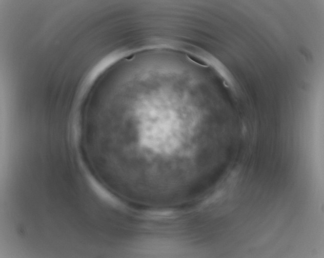 X0000115591143200911101233