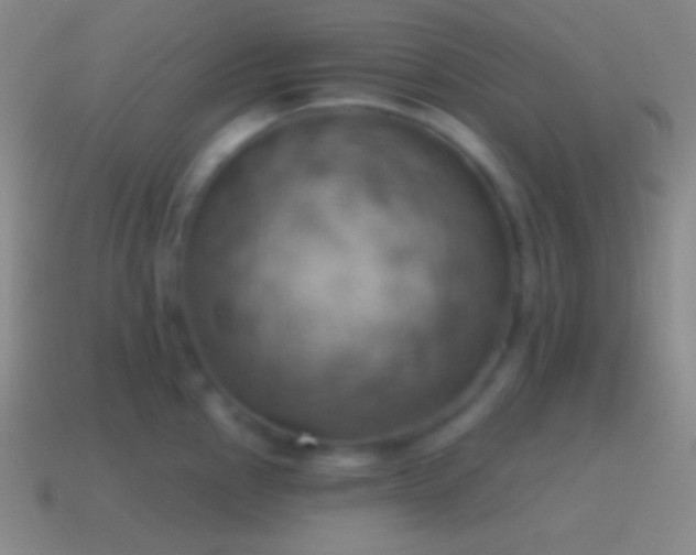 X0000115591145200911101233