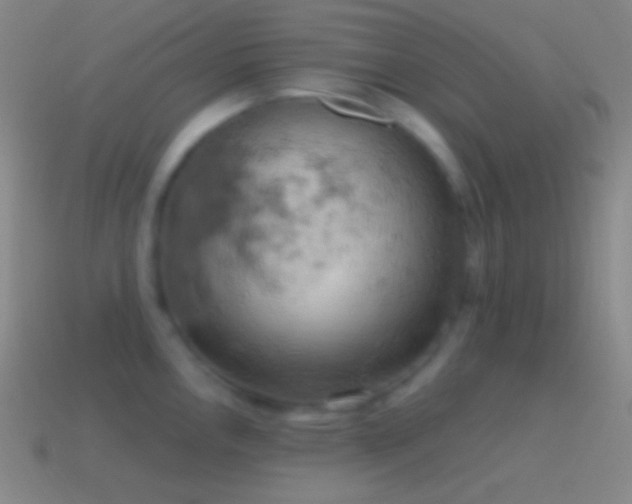 X0000115591146200911101233