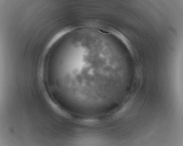 X0000115591147200911101233