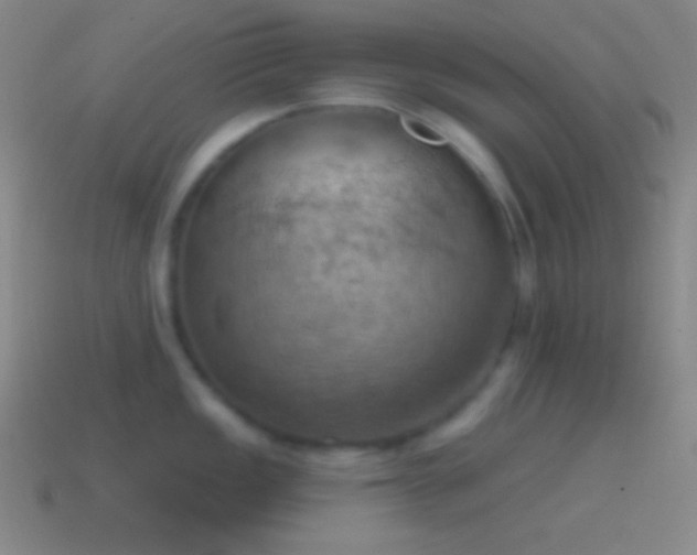 X0000115591149200911101233