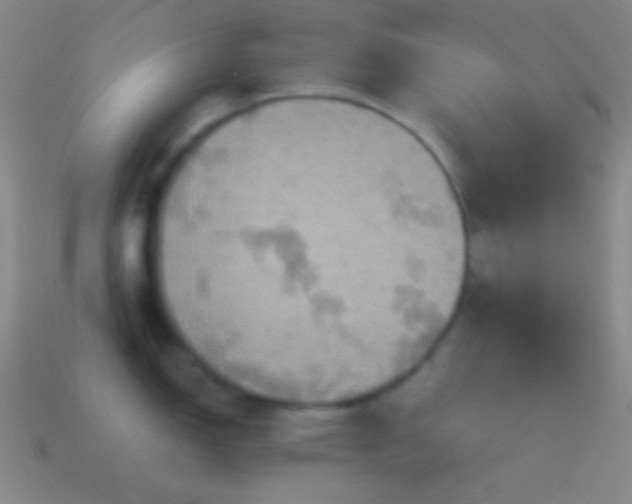 X0000115591150200911101233