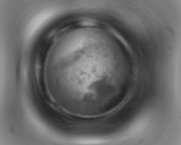 X0000115591151200911101233