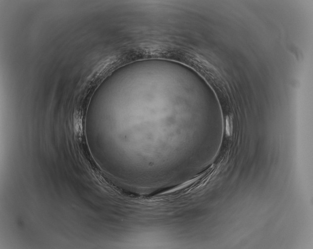 X0000115591155200911101232