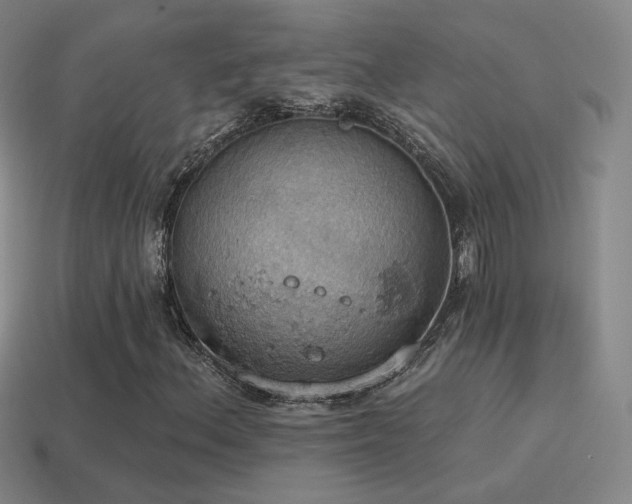 X0000115591156200911101232