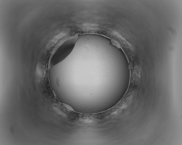 X0000115591157200911101232