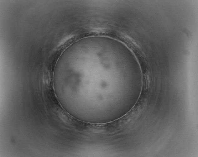 X0000115591158200911101232