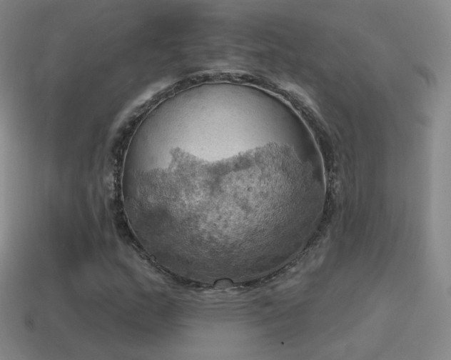 X0000115591159200911101232