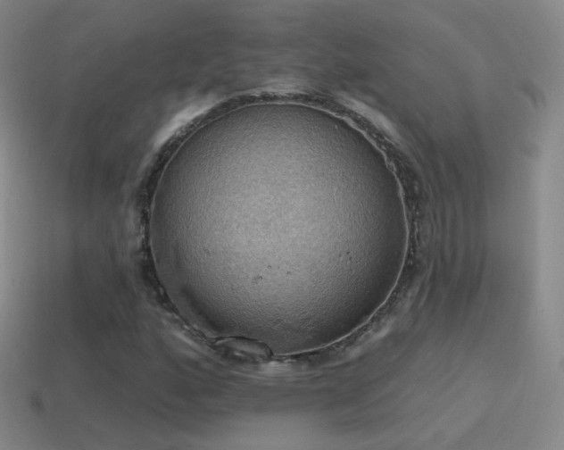 X0000115591160200911101232