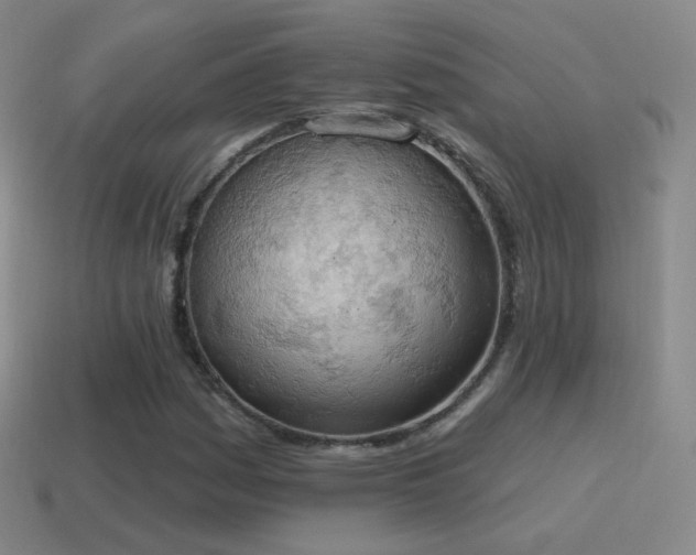 X0000115591161200911101232