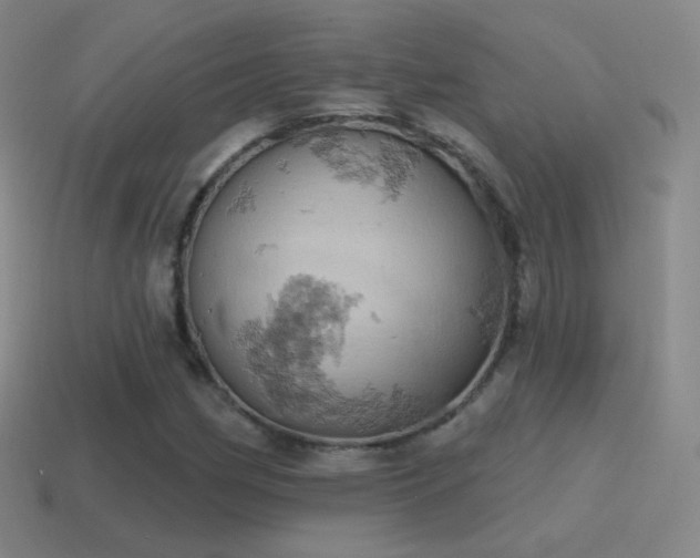 X0000115591162200911101232