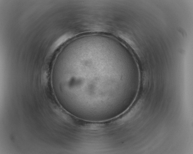 X0000115591163200911101232