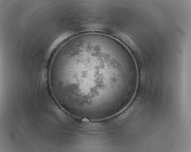 X0000115591164200911101232